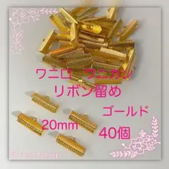 ワニ口 ワニカン リボン留め20mm G