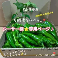 シーサー様⭐️専用ページ♪のサムネイル