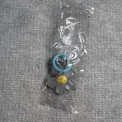 TRUZ めじるしアクセサリー ROOMY ロミ ジフン キーホルダー