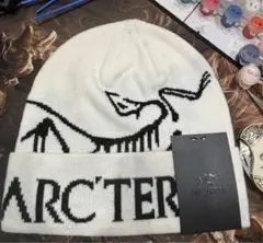 ARC'TERYX ホワイト ニット帽