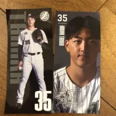 千葉ロッテマリーンズ ステッカー　ガチャ　田中晴也