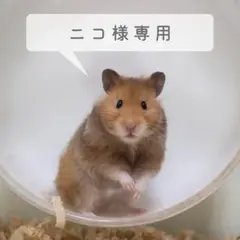 ニコ様 専用ページ
