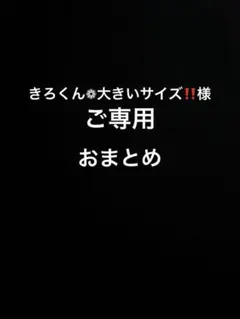 きろくん❁︎大きいサイズ‼️様ご専用ページ　おまとめ　ピアス、ヘアゴムへ加工