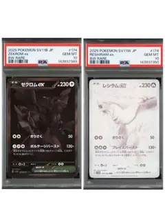 ゼクロムex レシラムex BWR PSA10 連番