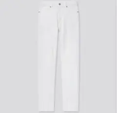 Item thumbnail for item fc5f9038-a1e8-4178-86d1-22ce82506b1b