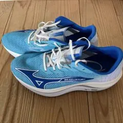 Mizuno WAVE REBELLION FLASH 2 青　28㎝
