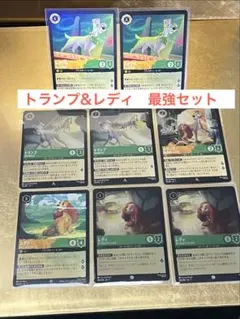 ロルカナ　トランプ&レディ カードセット