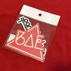 パラライ　ステッカー　BAE
