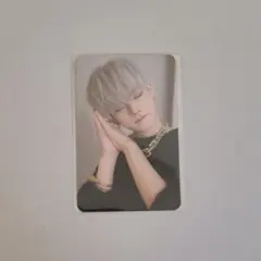 TREASURE ヨシ トレカ Night Garden