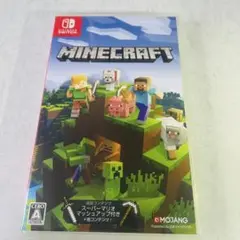 Minecraft Nintendo Switch