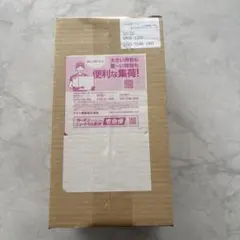 ポケセンフクオカスペシャルBOX