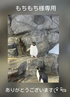 もちもち様 リクエスト 2点 まとめ商品