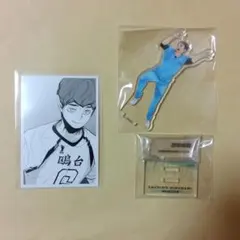 ハイキュー 10th クロニクル アクフィ フォトカ 昼神