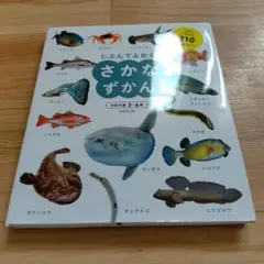 Mキョウ様 リクエスト 2点 まとめ商品
