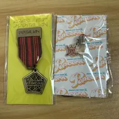 嵐 DIGITALIAN メダルブローチ＆Popcornイヤホンジャック 赤