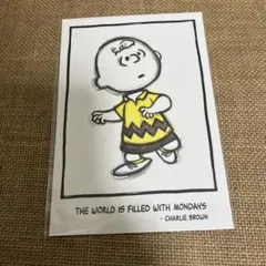 【匿名配送】新品 スヌーピーガーデン限定 チャーリー・ブラウン ポストカード
