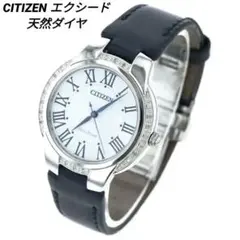 ☆シチズン エコドライブ WR100 ダイヤが綺麗美品中古品 ☆ 2025年最新】CITIZEN WR100の人気アイテム - メルカリ