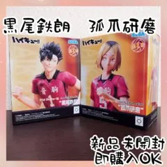 ハイキュー!! ハイプレミアムフィギュア 孤爪研磨＆黒尾鉄朗 2種セット