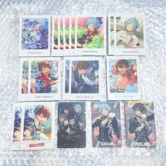 流星隊 ぱしゃっつ ぱしゃこれ カード まとめ売り