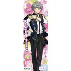 等身大タペストリー 瀬名泉　あんスタ あんスタ 瀬名泉 等身タペストリー - メルカリ