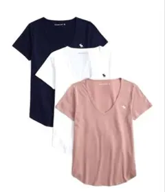 abercrombie&fitch 半袖 ロゴ コットン スキミングTシャツ
