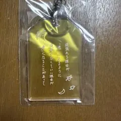 moon drop キーホルダー ヒメゴト