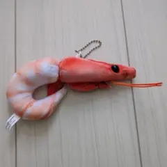 エビ ぬいぐるみ キーホルダー