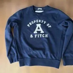 Abercrombie & Fitch スウェット ネイビー XXLのサムネイル