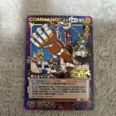 2025年最新】クルセイド 聖闘士星矢 ~聖闘士星矢の人気アイテム