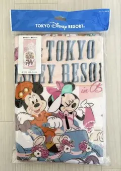 【新品未使用】東京ディズニーリゾート ミッキーミニーフェイスタオル