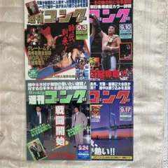 週間ゴング15冊＋週間プロレス1冊　計16冊セット 2025年最新】週刊ゴング 冊の人気アイテム - メルカリ