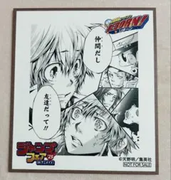 ジャンプフェア2025 アニメイト ミニ色紙 家庭教師ヒットマンREBORN!