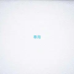 専用出品