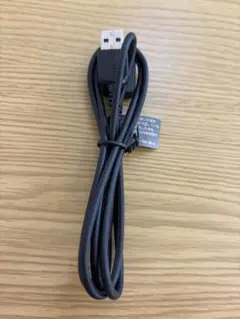 SONY ウォークマン 充電器