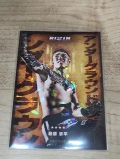 【激レア品】RIZIN萩原京平　ライコレリアルカード 萩原京平 RIZIN ライコレ リアルカード - メルカリ