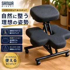 極美品】サンワサプライ バランスチェア 150-SNCH018 背もたれ付き