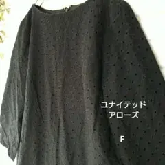 【ユナイテッドアローズ】バンドカラー　エンブロイダリーワンピース　黒F