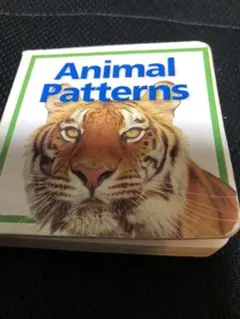 英語　絵本　Animal Patterns