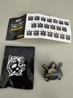 阪神タイガースファンクラブ応援デーピンバッジ20個セット コンプリート 阪神タイガース】ファンクラブ応援デーピンバッジ全20種＋2個