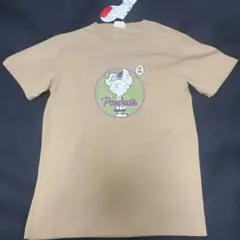 新品タグ付⭕️Peanuts スヌーピー グラフィックTシャツ ベージュ L
