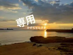専用…かずちゃんさま