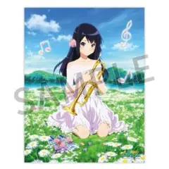 響け!ユーフォニアム　中世古香織　バースデーキャンバスアート 響け！ユーフォニアム バースデイキャンバスアート 小笠原晴香 - メルカリ
