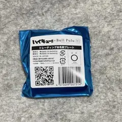 ハイキュー!! Bullpulu お名前プレート 未開封