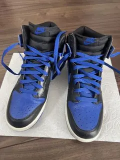 NIKE DUNK HIGH 317982-049 ナイキ ダンク ハイ