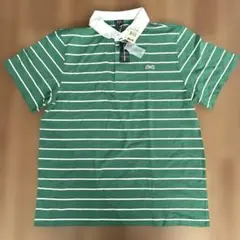 Le TIGRE ルディグレ　ストライプポロシャツ　グリーン未使用XL 00's