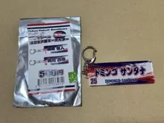 東京ヤクルトスワローズ スクエア型キーホルダー 25ドミンゴ・サンタナ