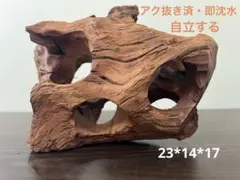 LY-010 流木 マシンガンウッド ホーンウッド アクアリウム ブランチ