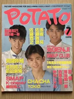 POTATO 1990年6月 光GENJI SMAP TOKIO 男闘呼組 - メルカリ