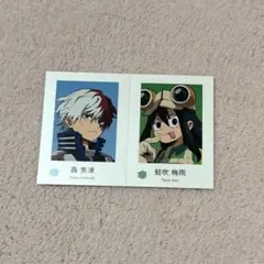 ヒロアカ wariふぉと！ 轟焦凍 蛙吹梅雨