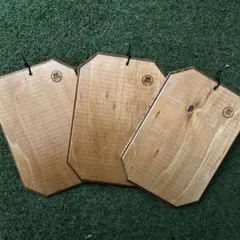 No.53 ビカクシダ養生板 板付 3枚セット